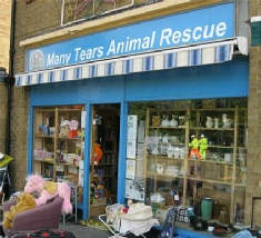 animal rescue