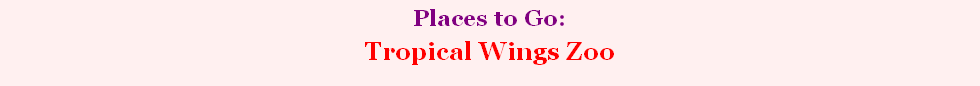 Places to Go:   
Tropical Wings Zoo
(Southend Association of Voluntary Services)