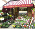 The Flower Basket Ashingdon on Rochford Life Magazine